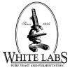 Šķidrie raugi- WhiteLabs